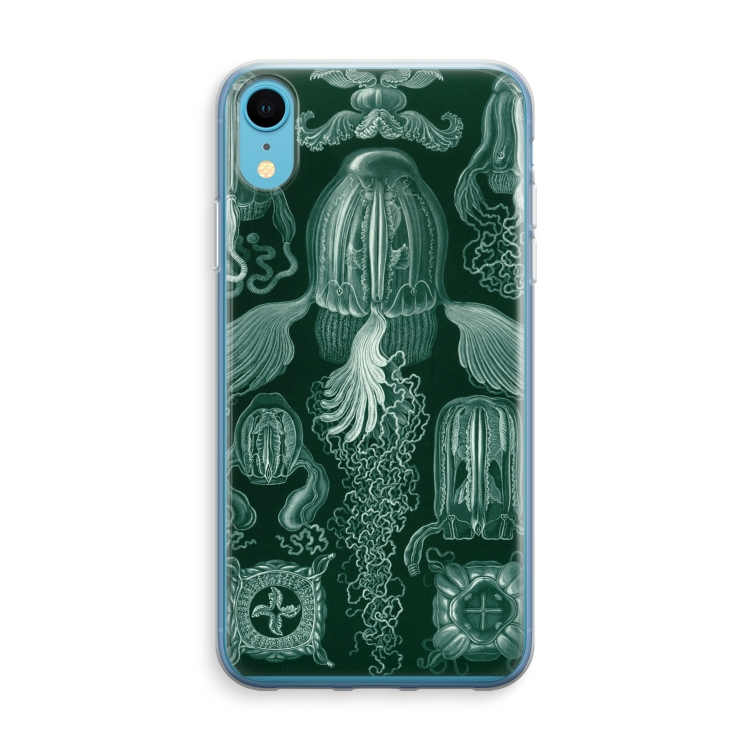 Haeckel Cubomedusae: iPhone XR Transparant Hoesje