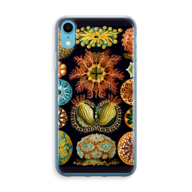 Haeckel Ascidiae: iPhone XR Transparant Hoesje