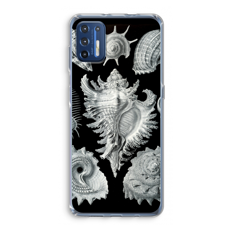 Haeckel Prosobranchia: Motorola Moto G9 Plus Transparant Hoesje