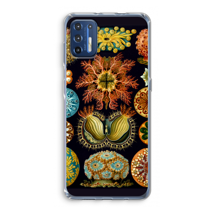 Haeckel Ascidiae: Motorola Moto G9 Plus Transparant Hoesje