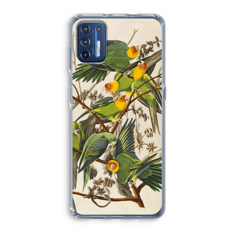 Carolinaparkiet: Motorola Moto G9 Plus Transparant Hoesje