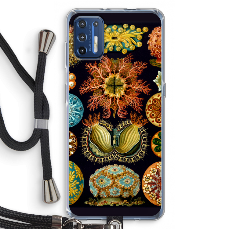 Haeckel Ascidiae: Motorola Moto G9 Plus Transparant Hoesje met koord