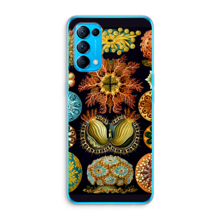 Haeckel Ascidiae: Oppo Find X3 Lite Transparant Hoesje