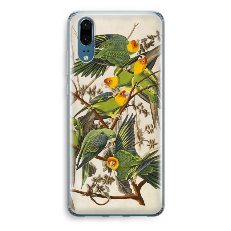 Carolinaparkiet: Huawei P20 Transparant Hoesje