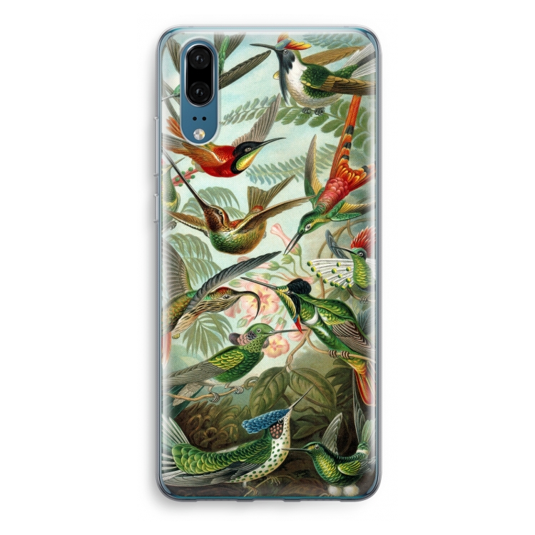 Haeckel Trochilidae: Huawei P20 Transparant Hoesje