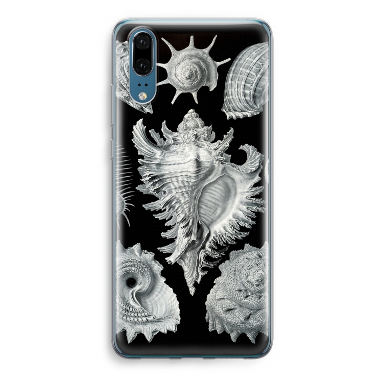 Haeckel Prosobranchia: Huawei P20 Transparant Hoesje