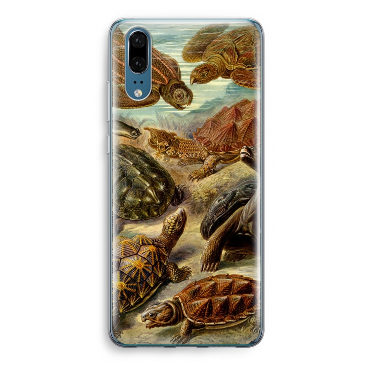 Haeckel Chelonia: Huawei P20 Transparant Hoesje