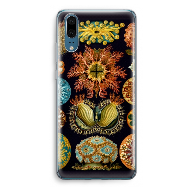 Haeckel Ascidiae: Huawei P20 Transparant Hoesje