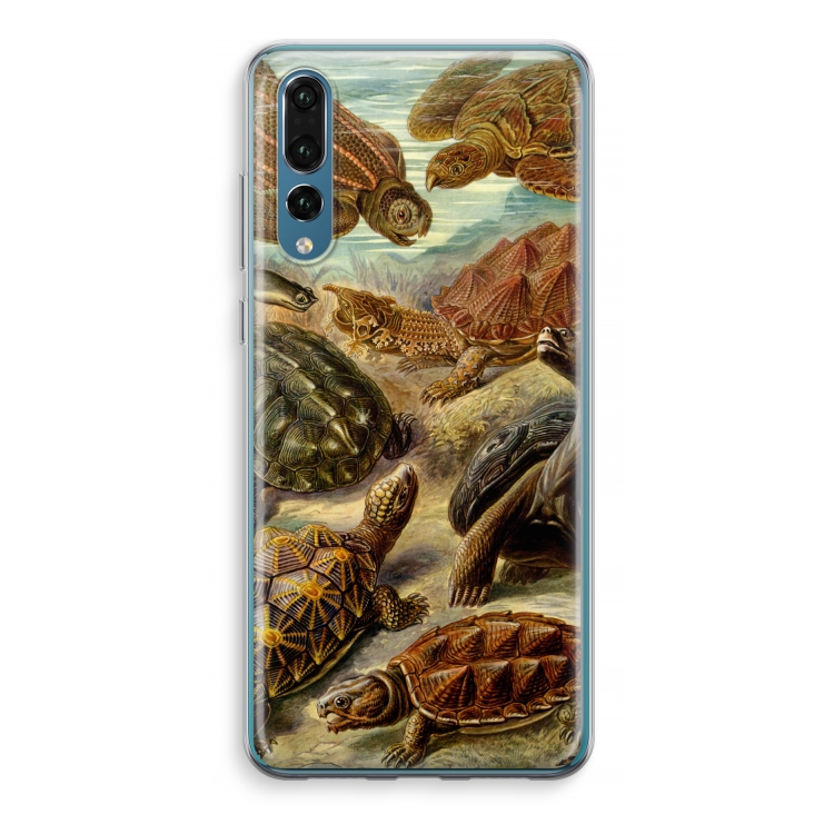 Haeckel Chelonia: Huawei P20 Pro Transparant Hoesje