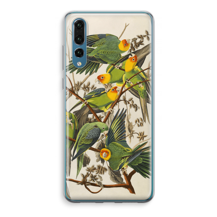 Carolinaparkiet: Huawei P20 Pro Transparant Hoesje