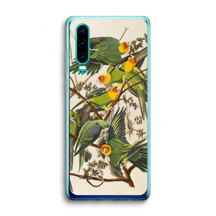 Carolinaparkiet: Huawei P30 Transparant Hoesje