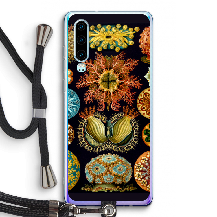 Haeckel Ascidiae: Huawei P30 Transparant Hoesje met koord