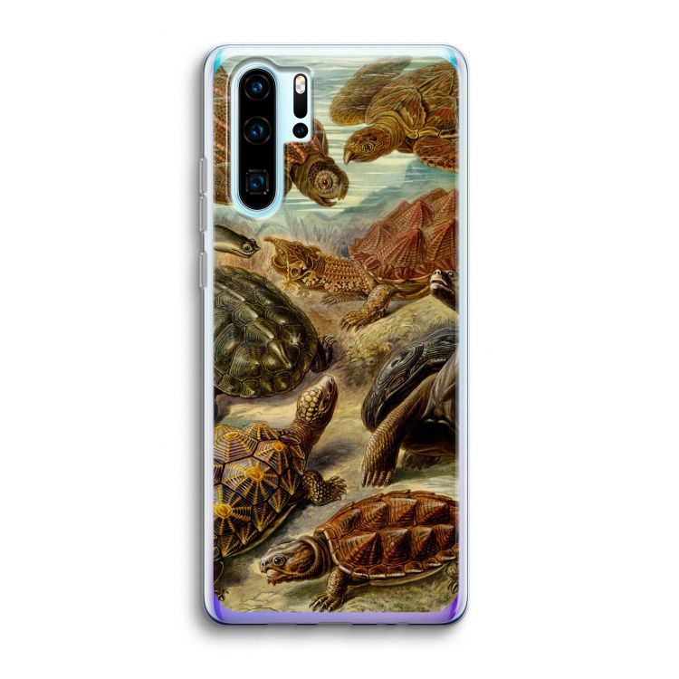 Haeckel Chelonia: Huawei P30 Pro Transparant Hoesje