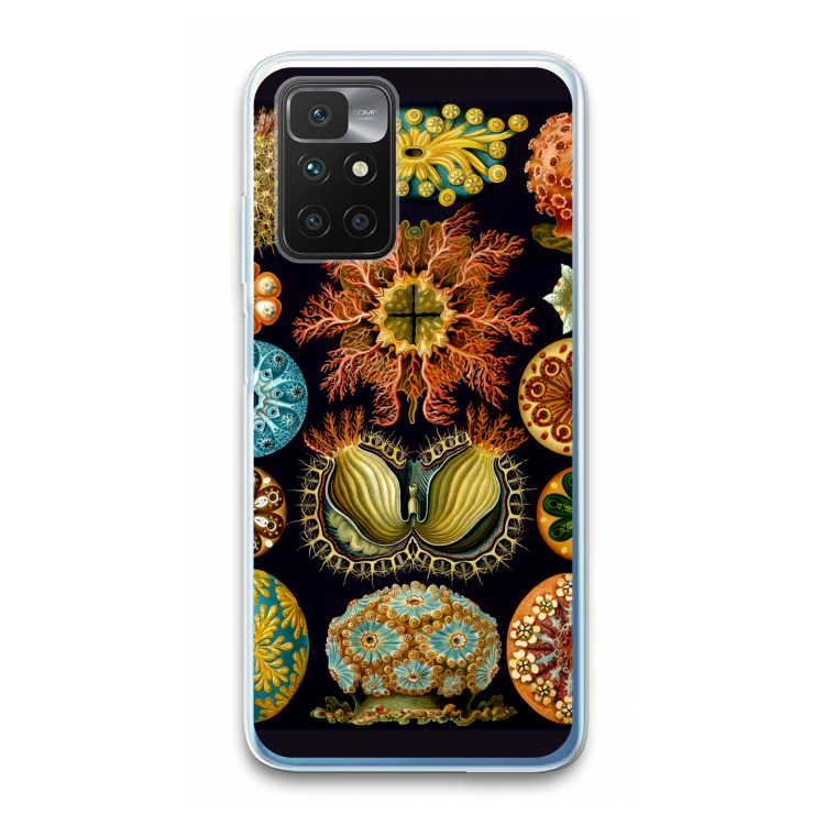 Haeckel Ascidiae: Xiaomi Redmi 10 Transparant Hoesje