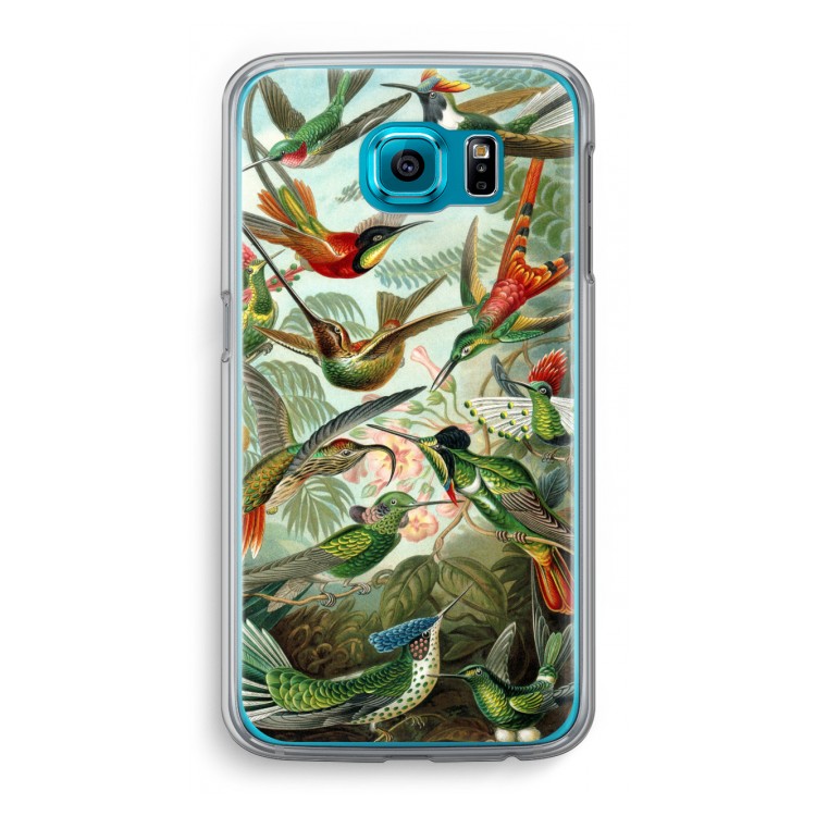 Haeckel Trochilidae: Samsung Galaxy S6 Transparant Hoesje