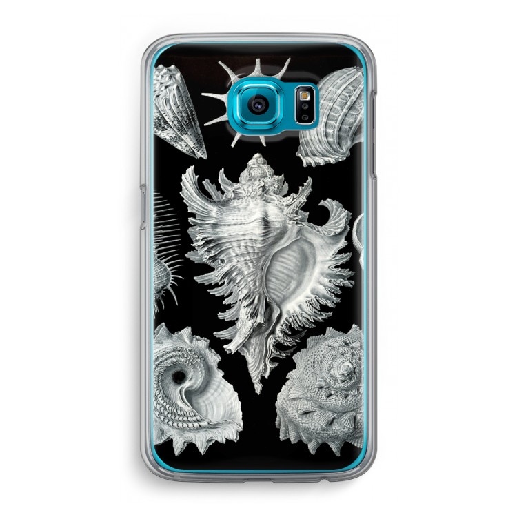 Haeckel Prosobranchia: Samsung Galaxy S6 Transparant Hoesje