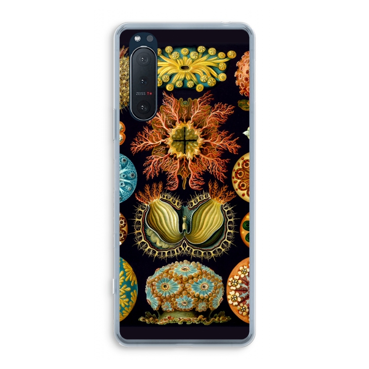 Haeckel Ascidiae: Sony Xperia 5 II Transparant Hoesje