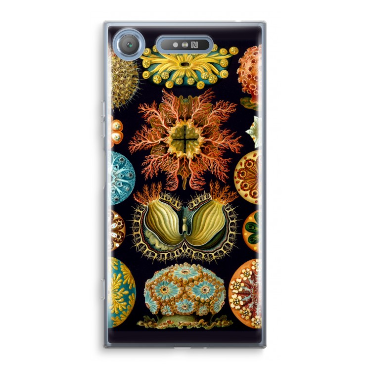 Haeckel Ascidiae: Sony Xperia XZ1 Transparant Hoesje