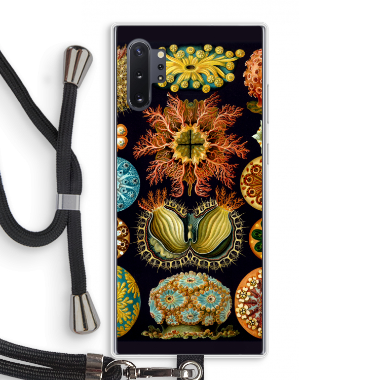 Haeckel Ascidiae: Samsung Galaxy Note 10 Plus Transparant Hoesje met koord