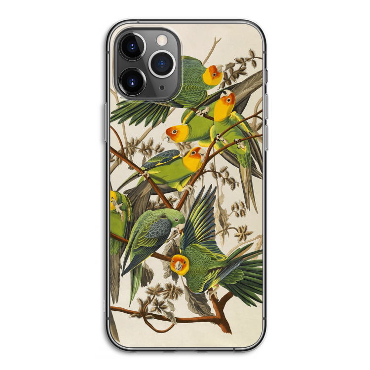 Carolinaparkiet: iPhone 11 Pro Transparant Hoesje