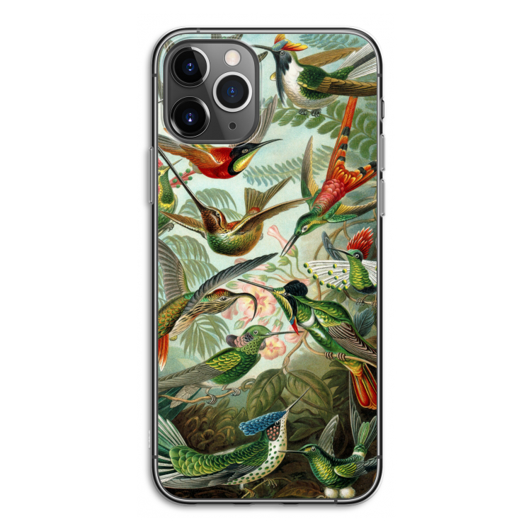 Haeckel Trochilidae: iPhone 11 Pro Transparant Hoesje