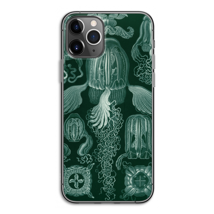 Haeckel Cubomedusae: iPhone 11 Pro Transparant Hoesje