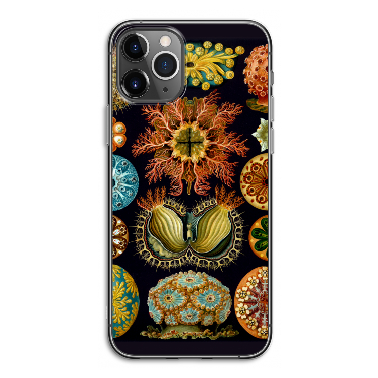 Haeckel Ascidiae: iPhone 11 Pro Transparant Hoesje