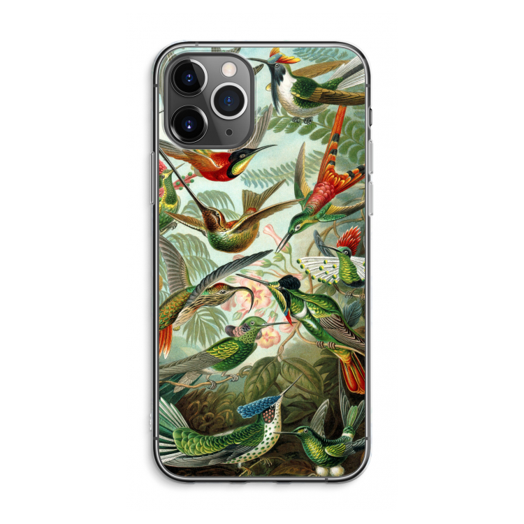 Haeckel Trochilidae: iPhone 11 Pro Max Transparant Hoesje