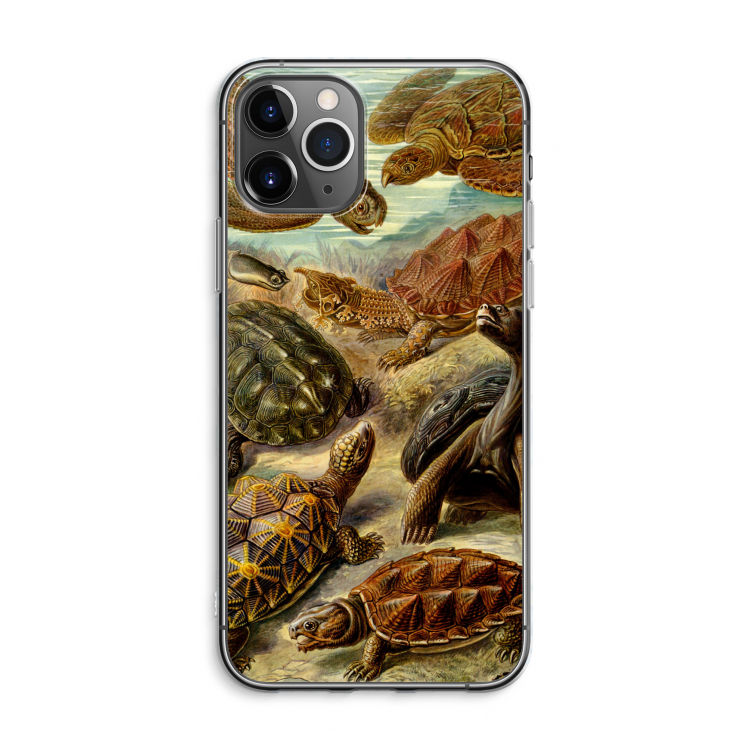 Haeckel Chelonia: iPhone 11 Pro Max Transparant Hoesje