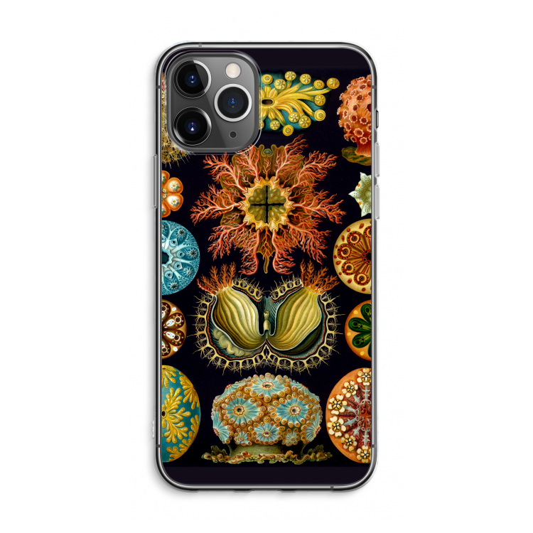 Haeckel Ascidiae: iPhone 11 Pro Max Transparant Hoesje