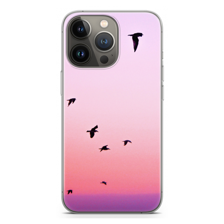 Fly away: iPhone 13 Pro Transparant Hoesje