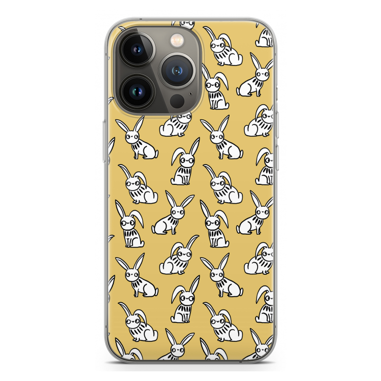 Haas: iPhone 13 Pro Transparant Hoesje