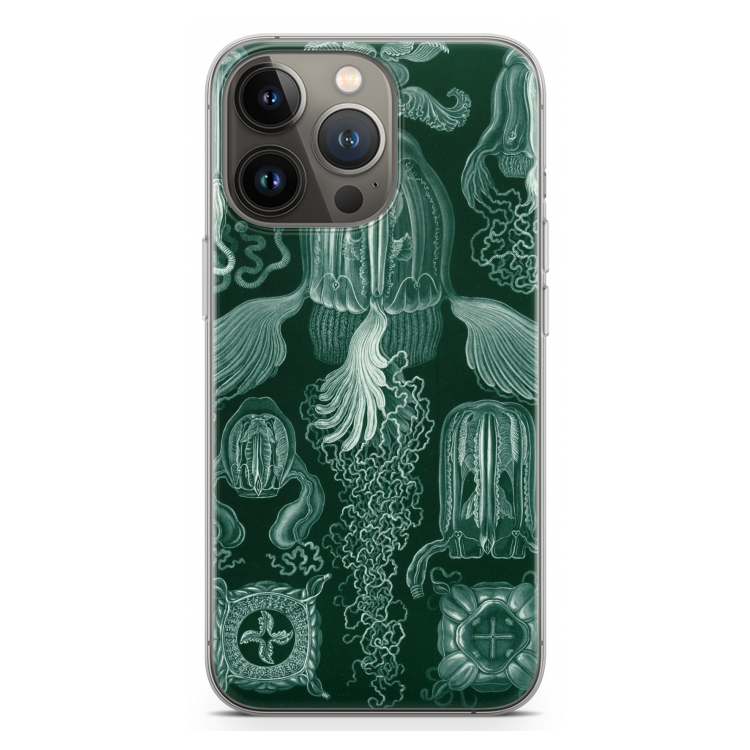 Haeckel Cubomedusae: iPhone 13 Pro Transparant Hoesje