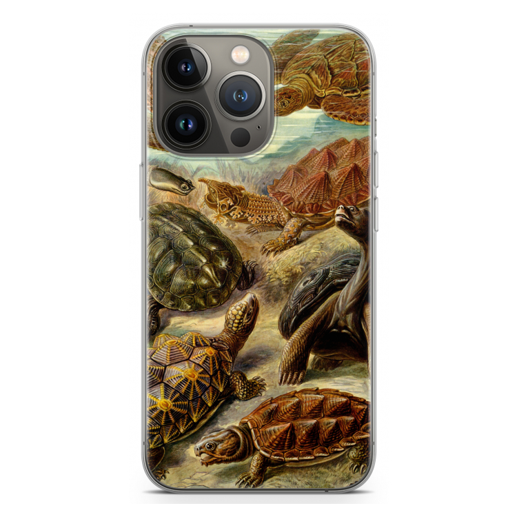 Haeckel Chelonia: iPhone 13 Pro Transparant Hoesje