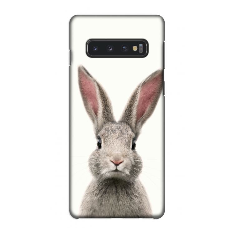 Daisy: Samsung Galaxy S10 4G Volledig Geprint Hoesje