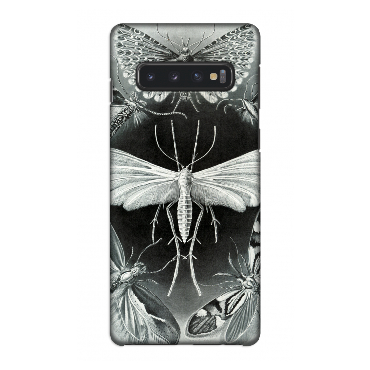Haeckel Tineida: Samsung Galaxy S10 4G Volledig Geprint Hoesje