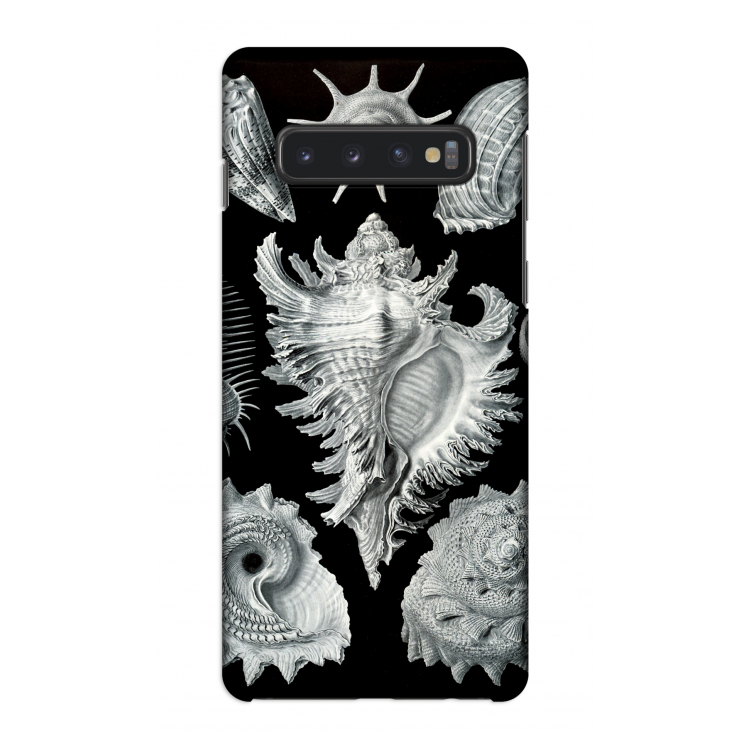 Haeckel Prosobranchia: Samsung Galaxy S10 4G Volledig Geprint Hoesje