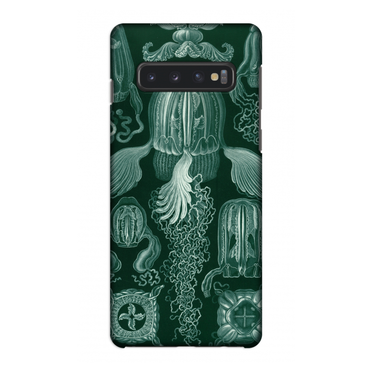 Haeckel Cubomedusae: Samsung Galaxy S10 4G Volledig Geprint Hoesje