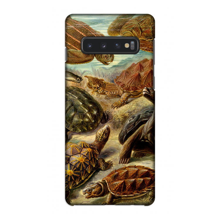 Haeckel Chelonia: Samsung Galaxy S10 4G Volledig Geprint Hoesje