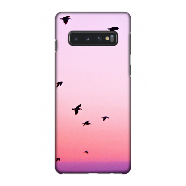 Fly away: Samsung Galaxy S10 4G Volledig Geprint Hoesje