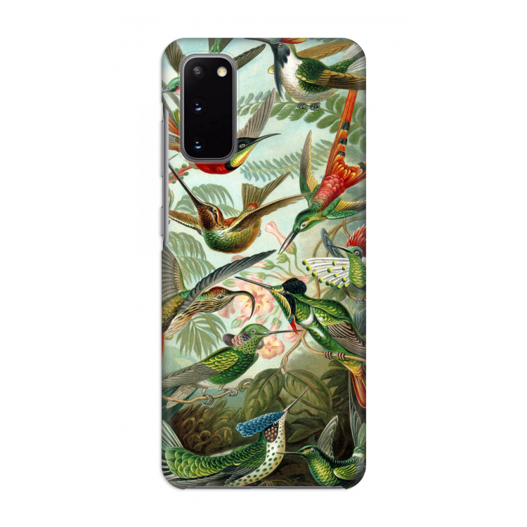 Haeckel Trochilidae: Volledig geprint Samsung Galaxy S20 Hoesje