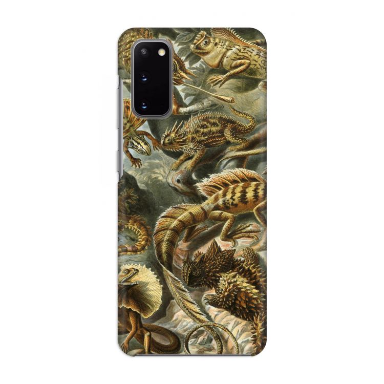 Haeckel Lacertilia: Volledig geprint Samsung Galaxy S20 Hoesje
