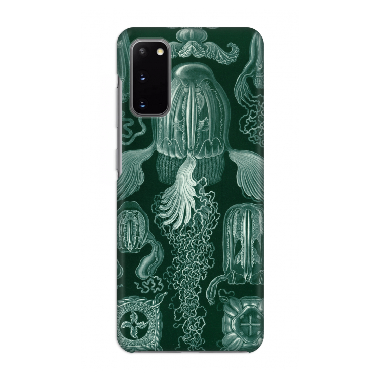 Haeckel Cubomedusae: Volledig geprint Samsung Galaxy S20 Hoesje
