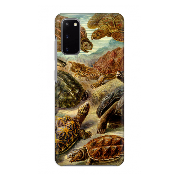 Haeckel Chelonia: Volledig geprint Samsung Galaxy S20 Hoesje