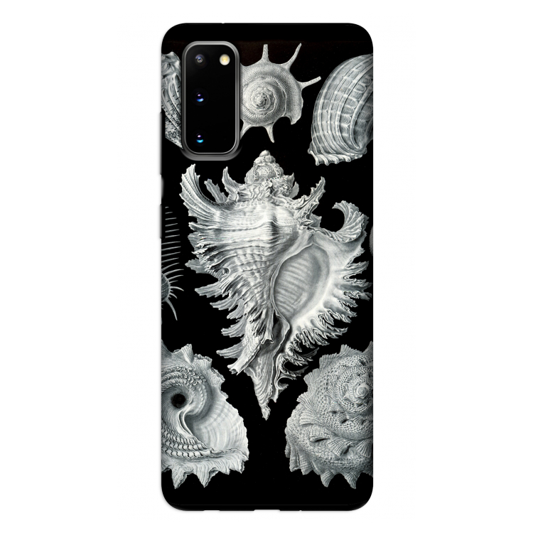 Haeckel Prosobranchia: Samsung Galaxy S20 Tough Case