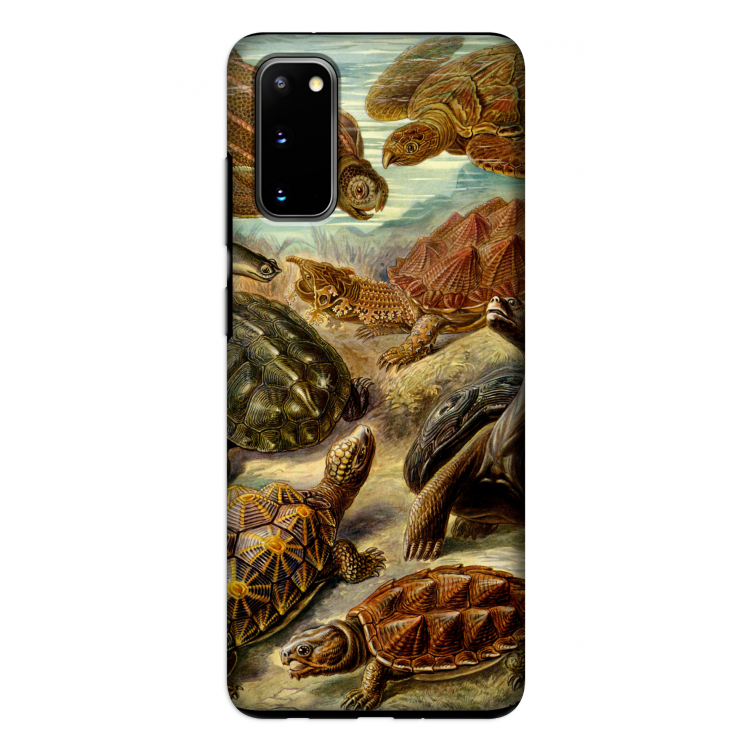 Haeckel Chelonia: Samsung Galaxy S20 Tough Case