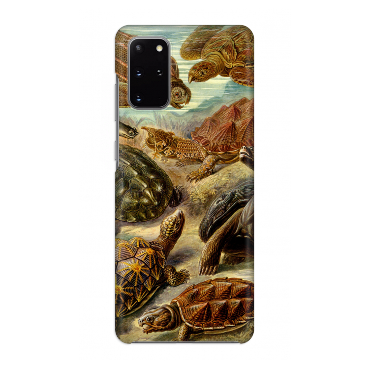 Haeckel Chelonia: Volledig geprint Samsung Galaxy S20 Plus Hoesje
