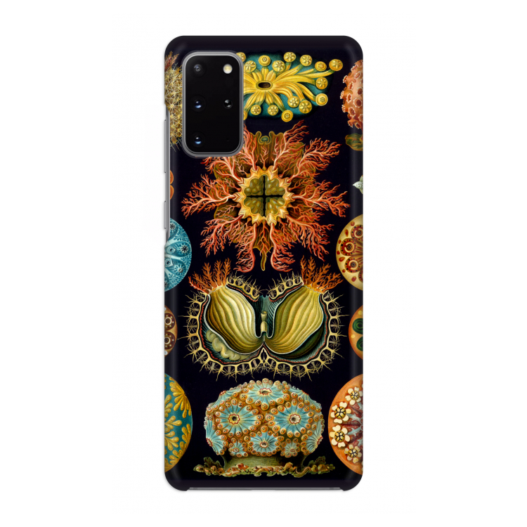 Haeckel Ascidiae: Volledig geprint Samsung Galaxy S20 Plus Hoesje