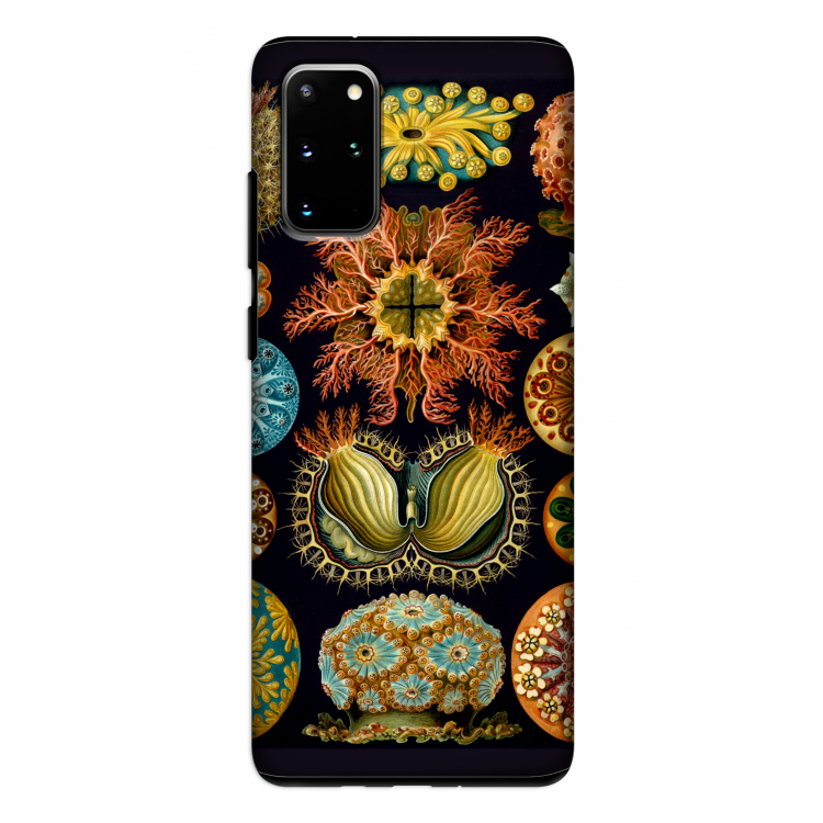 Haeckel Ascidiae: Samsung Galaxy S20 Plus Tough Case