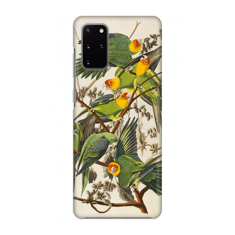 Carolinaparkiet: Volledig geprint Samsung Galaxy S20 Plus Hoesje